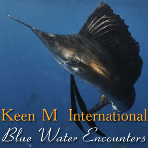 Keen M International Sportfishing Isla Mujeres Blue Water Encounters