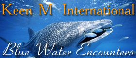 Keen M International Sportfishing and Blue Water Encounters Isla Mujeres